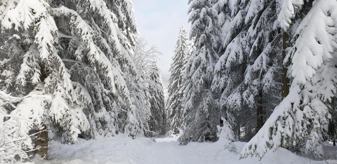 Ferienwohnung Merle In Winterberg-Altastenberg Экстерьер фото