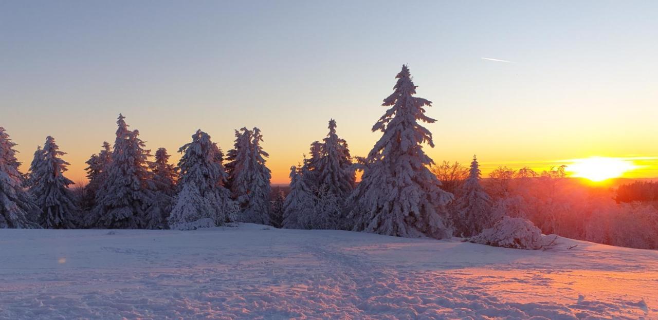 Ferienwohnung Merle In Winterberg-Altastenberg Экстерьер фото